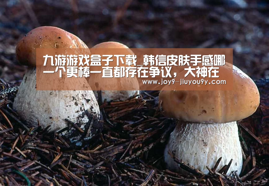 九游游戏盒子下载_韩信皮肤手感哪一个更棒一直都存在争议,大神在评论,新手都在看(图3) 九游游戏盒子下载