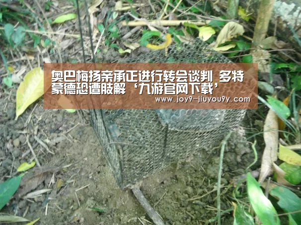 奥巴梅扬亲承正进行转会谈判 多特蒙德恐遭肢解‘九游官网下载’(图3) 九游官网下载