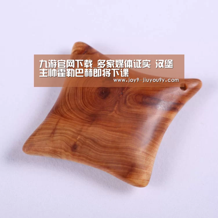 九游官网下载_多家媒体证实 汉堡主帅霍勒巴赫即将下课(图2) 九游官网下载