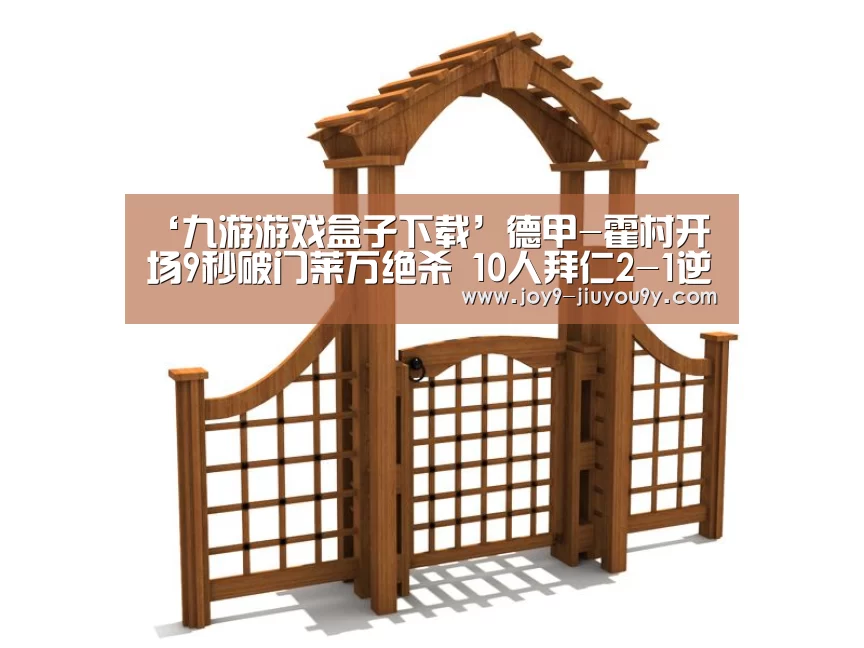 ‘九游游戏盒子下载’德甲-霍村开场9秒破门莱万绝杀 10人拜仁2-1逆转(图2) 九游官网下载